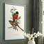 «Elegant Trogons I», reproduction encadrée - bois massif-608127425-608127437