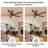 Whirlwinds 60 In. Indoor Black Solid Wood Ceiling Fan Without Light