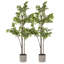 Aben Pot Planter-1836459497