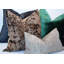 Waves Pillow Cover & Insert-78024948