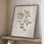 Blush Rose Botanical II, reproduction encadrée - bois massif 49793-156363842