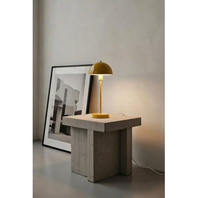 Vienda Metal Novelty Lamp