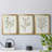 Single Sprig I - Matted and Framed Under Acrylic Glass, Set of 3, Large Living Room Wall Art-1135112875-1135112876-1135132412