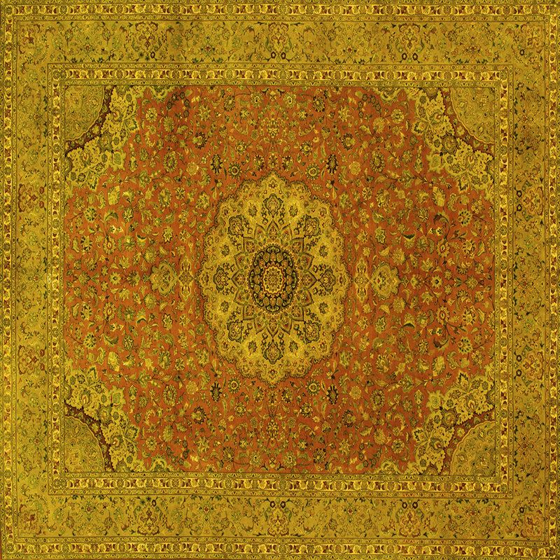 Mitchael Performance Oriental Indoor Rug, Square 8'