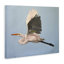 «Graceful Egret Flying Canvas» par D. Rust-199471767
