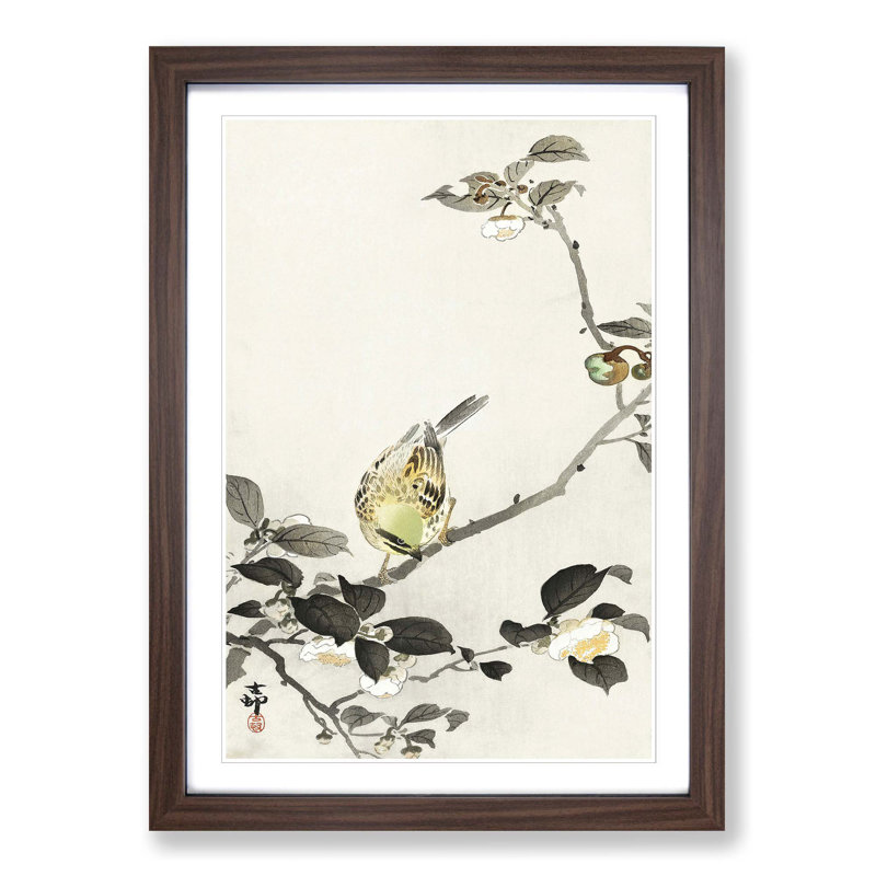 Bunting Bird on a Blossom Branch by Ohara Koson - Picture Frame Art Print, 36cm H x 27cm W x 2cm D, Walnut Framed