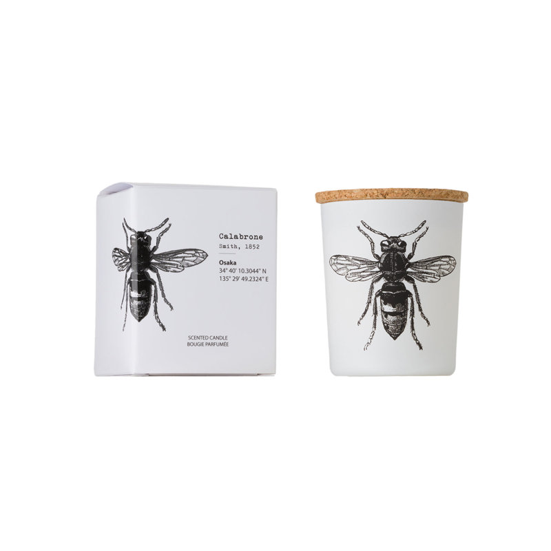 Bougie en bocal à insectes CALABRONE 3,35 de diamètre x 4,13 po, 2,6 oz Pot