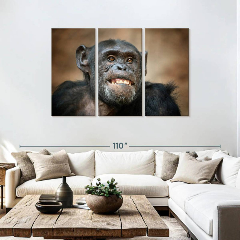 Drôle de chimpanzé