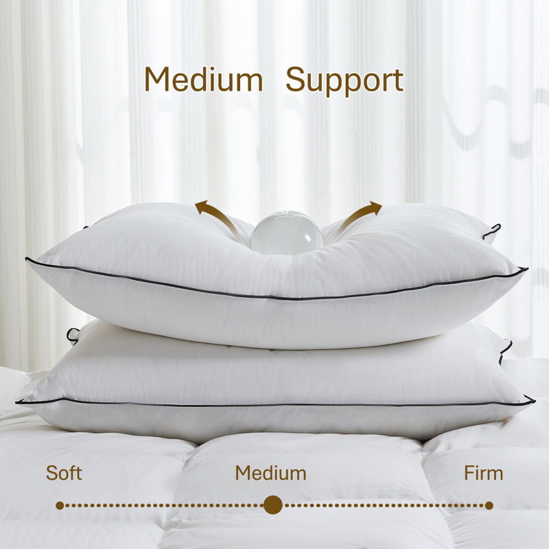 Oreiller standard en mélange de duvet d'oie et de plumes 100% coton, Standard