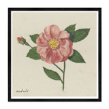 Wild Rose Print