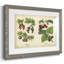 Cuisine fruits III-285017808-285017814