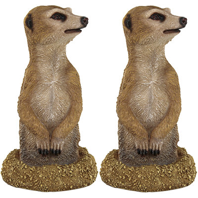 Trou dans une statue de suricate africain