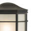 Edwin Black Outdoor Wall Lantern