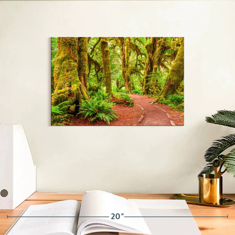 Mossy Hoh Rainforest Trees, H 8 po x l 12 po