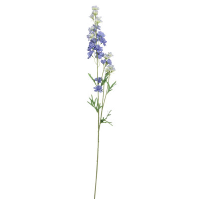 Tiges Delphinium