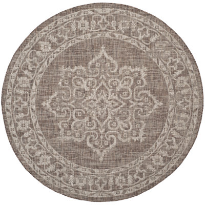 Cinsere Performance Oriental Indoor/Outdoor Area Rug