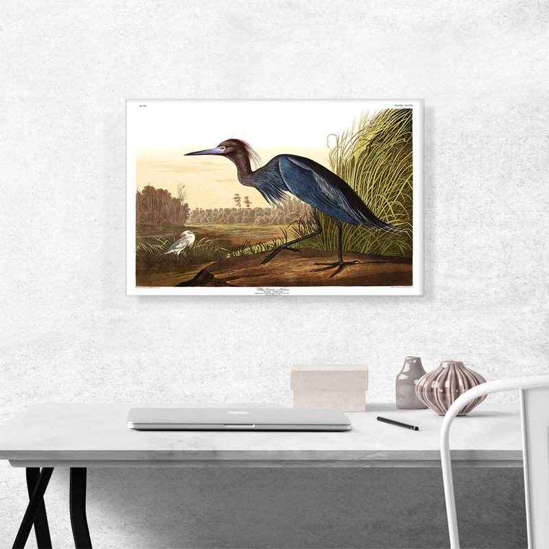 «Little Blue Heron» par James Audubon, reproduction d'art sur toile tendue, H 18 po x l 26 po x P 1,5 po