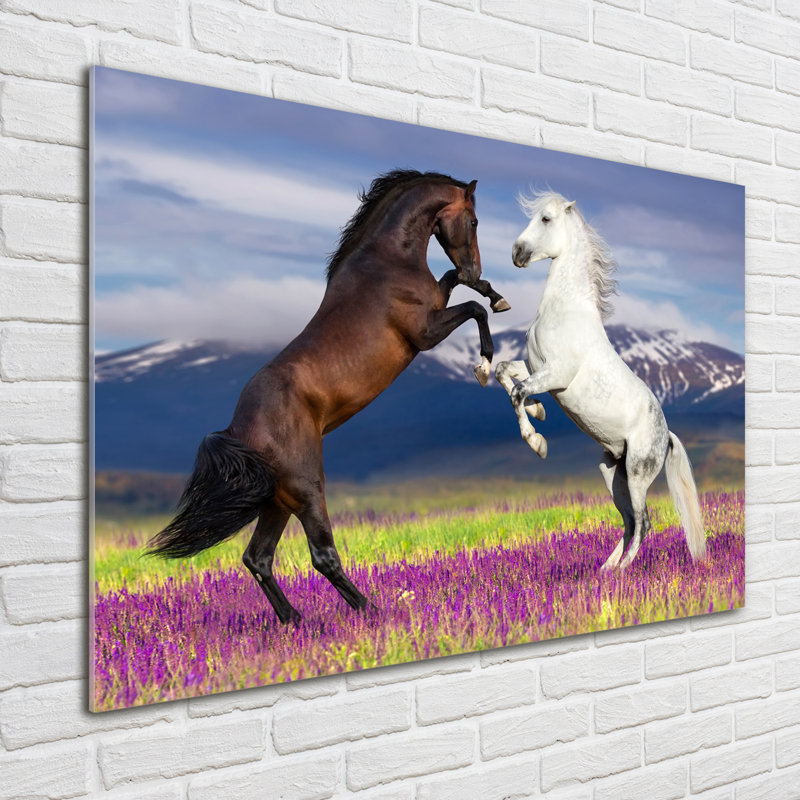 Horses Fighting Mountains - No Frame Print on Glass