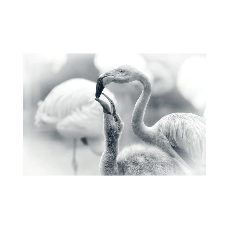 Feeding by Bragi Ingibergsson - Wrapped Canvas Print, 66.04 cm H x 45.72 cm W x 1.91 cm D