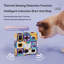 Interactive Enrichment Toy Box Smart Sensing