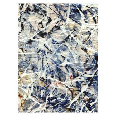 «Shards» par Viola, Pamela