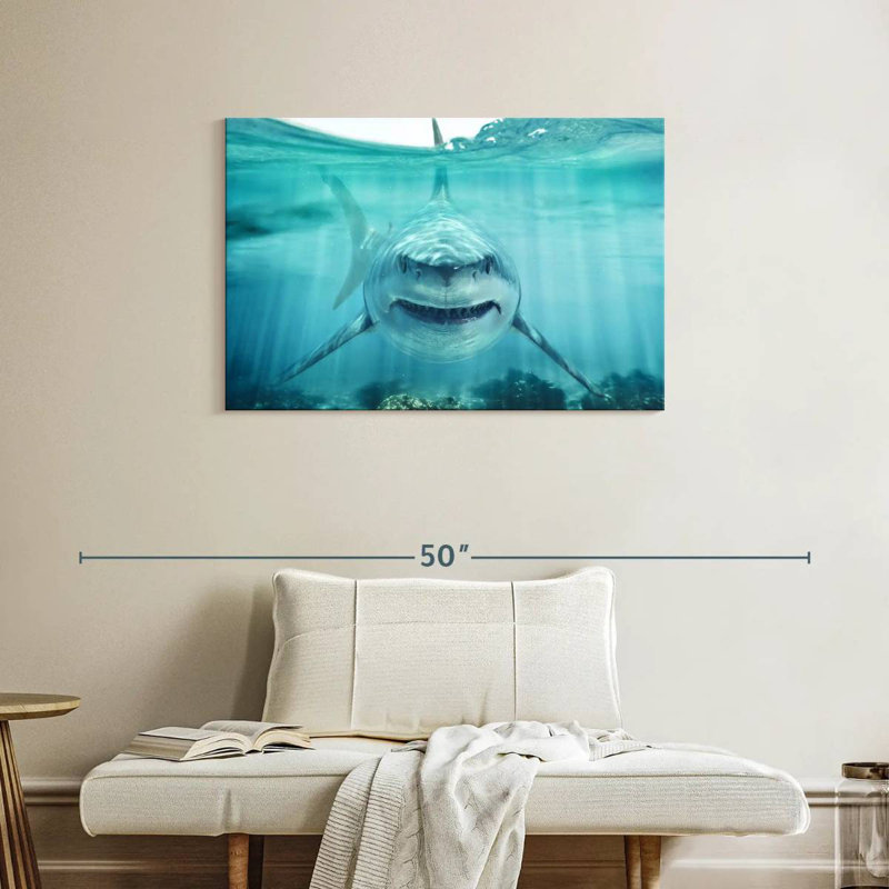 Requin blanc Brampt, H 24 po x l 36 po