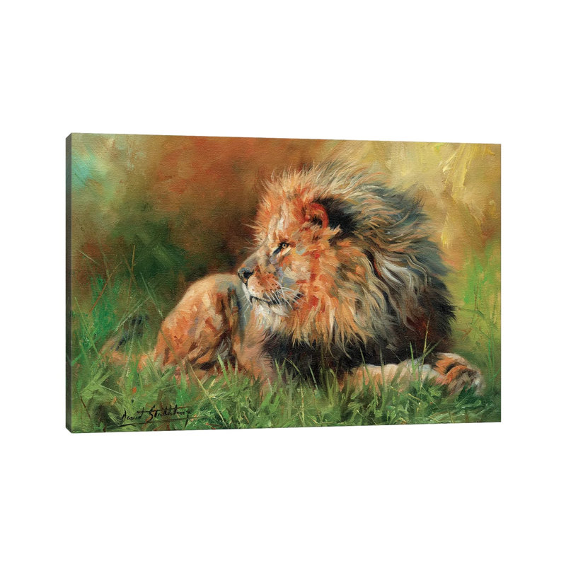 Lion Full by David Stribbling - Wrapped Canvas Painting, 20.32 cm H x 30.48 cm W