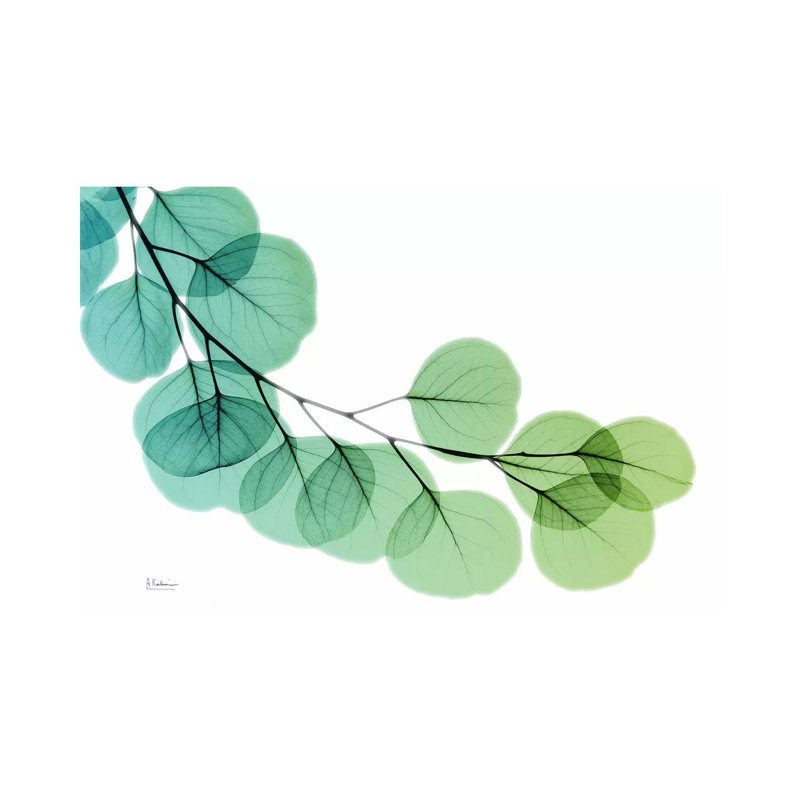 Eucalyptus Green Blue 1 Piece Wrapped Canvas Painting, 101.6 cm H x 66.04 cm W x 1.91 cm D