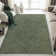 Arola Area Rug