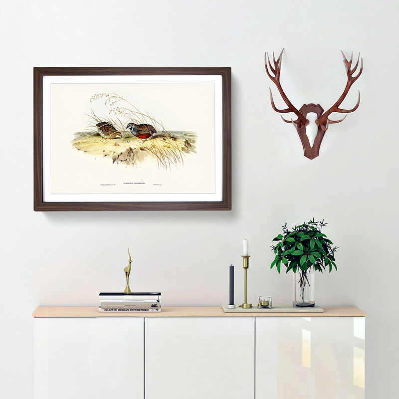 Chinese Quail by Elizabeth Gould - Picture Frame Painting Print, 27cm H x 36cm W x 2cm D, Walnut Framed