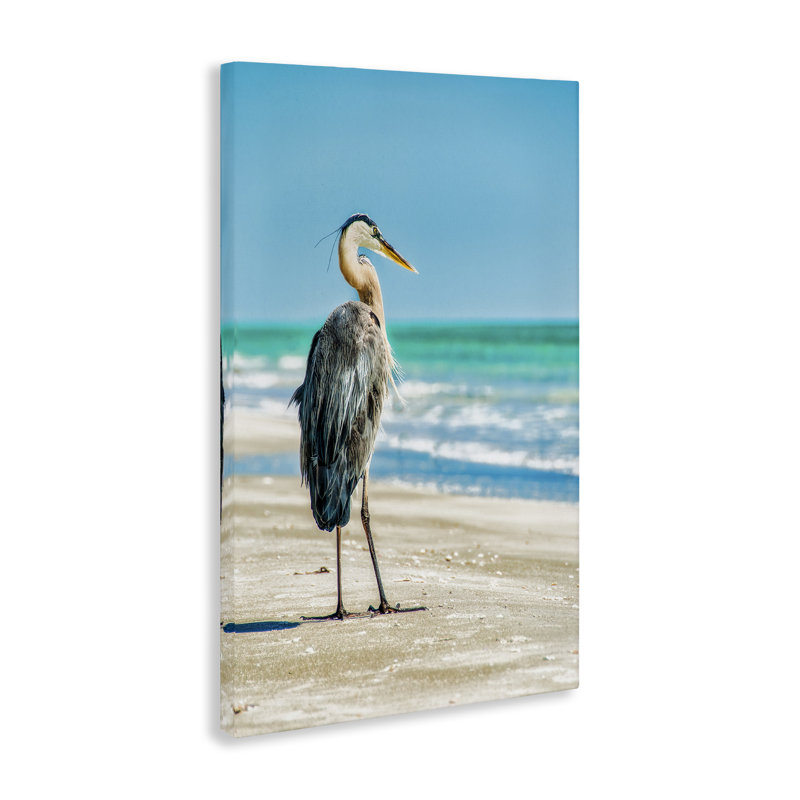 Art mural sur toile Reflection Beach Bird par Mary Lou Johnson, H 30 po x l 20 po