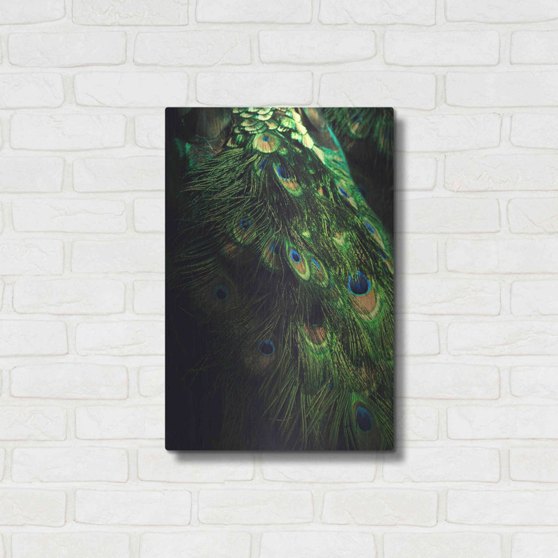 Peacock Tail par Incado - photographie non encadrée sur métal, H 24 po x l 16 po x P 0,13 po