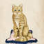 «Lady Cat IV» par Grace Popp - impression sur toile-29283490-74728520-74728525