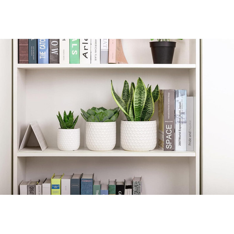 Ceramic Planter