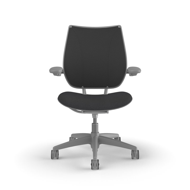 Liberty Ergonomic Task Chair With Upholstered Back, Adjustable Duron Arms, Dark Gray - 0171, Silver with Silver Trim