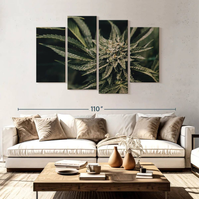 Plante de marijuana Senne, H 54 po x l 84 po