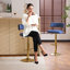 Height Adjustable Bar Stool