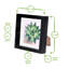 Nicola Spring - 3D Box Photo Frames - Mount-55856577-55856575