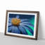 Anemone Flower In Blue - Single Picture Frame Painting-55545192-55545200
