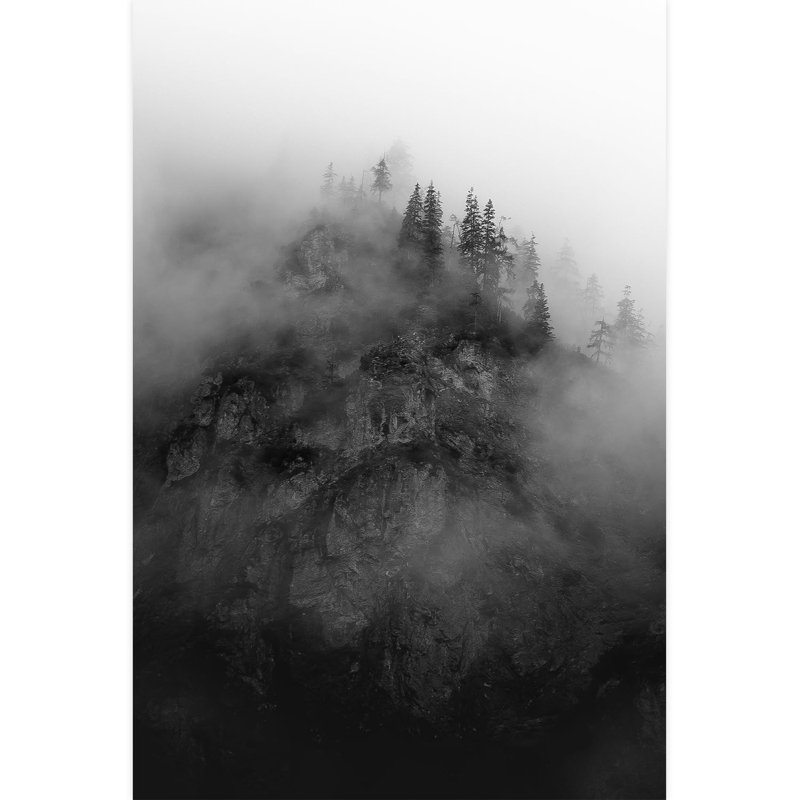 Peel & Stick Border, 72" L x 48" W