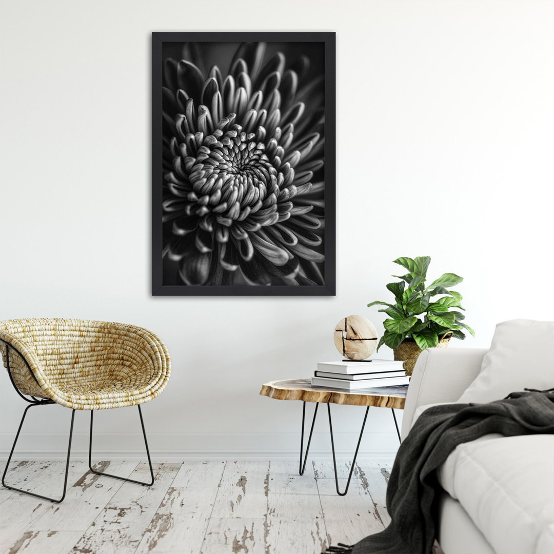 Gerahmtes Poster Black and White Flower