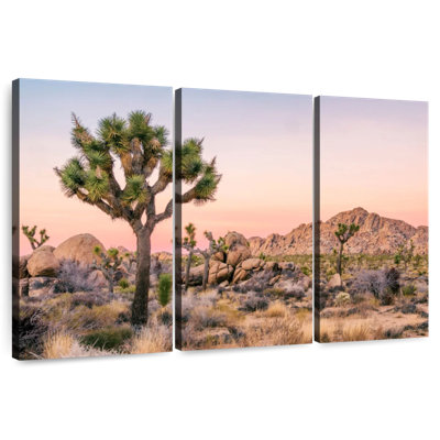 Harnek Joshua Tree Patch
