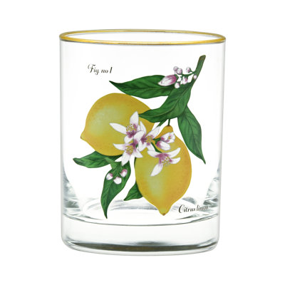 East Urban Home 14-Ounce 22k Gold Rim DOF Double Old Fashioned Glass (Set of 4) - Lemons Botanical -  232A98CB852B4F91A9EB9358A1103425