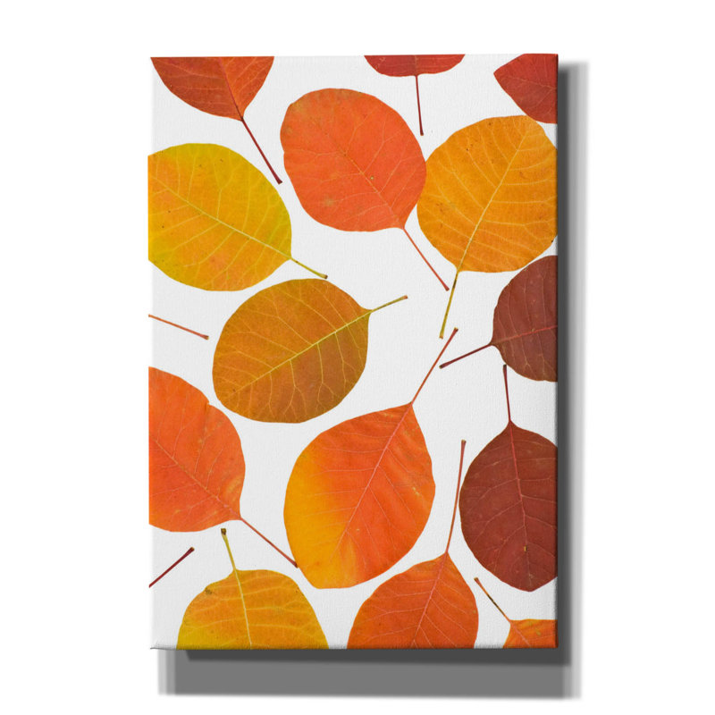 Epic Graffiti «Brown Leaves» par Photoinc Studio, C «Brown Leaves» par PhotoINC Studio