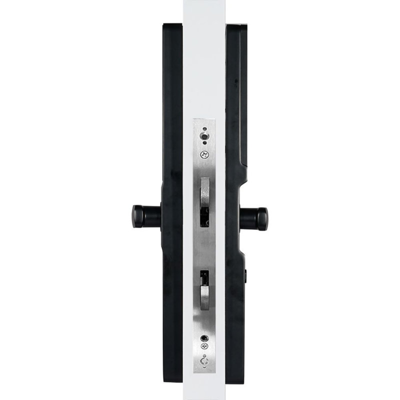 Serrure de porte coulissante WiFi D15 5-en-1