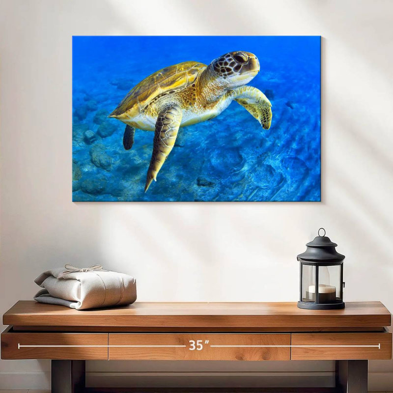 Brampt Sea Turtle Explorer, 16" H x 24" W