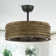 Schmier 24.4'' Ceiling Fan with Light Kit