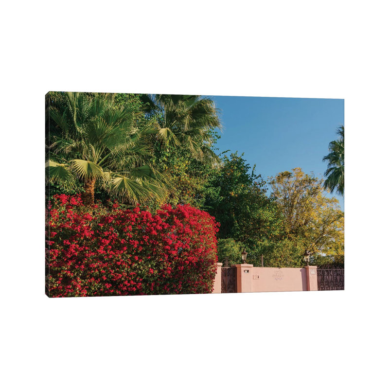 Palm Springs Pink by Bethany Young - Print on Canvas, 45.72cm H x 66.04cm W x 3.81cm D, Wrapped Canvas