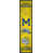 University of Michigan