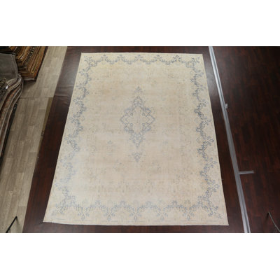 Muted Distressed  Traditional Area Rug 10x13